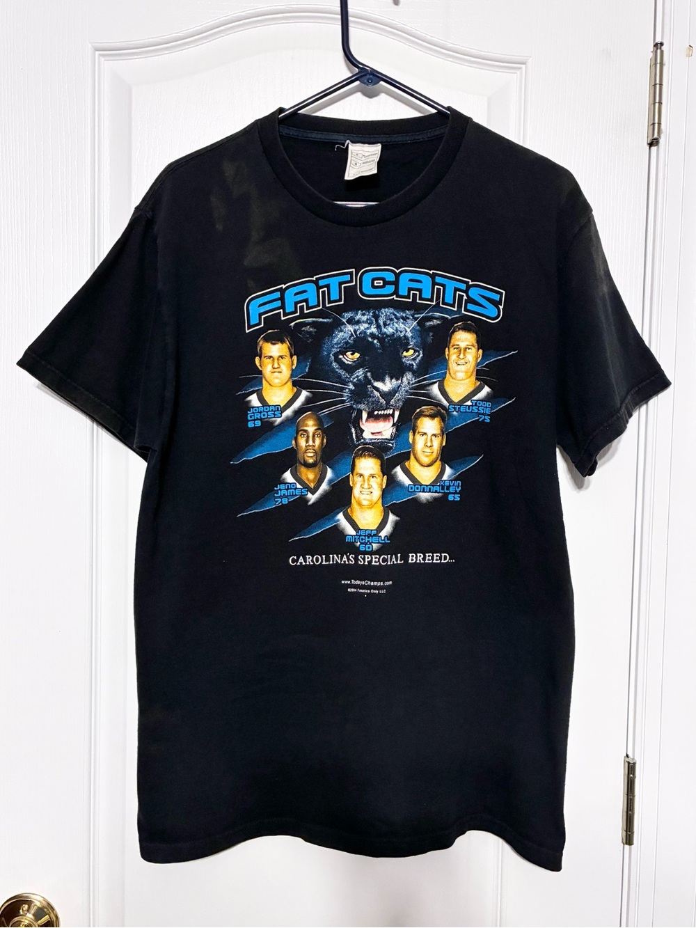 Y2K VTG 2004 Fat Cats Carolina Panthers Football Graphic Tee Black Men’s Large